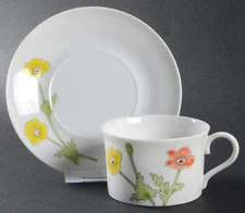 International Lyric Cup & Saucer 3379009