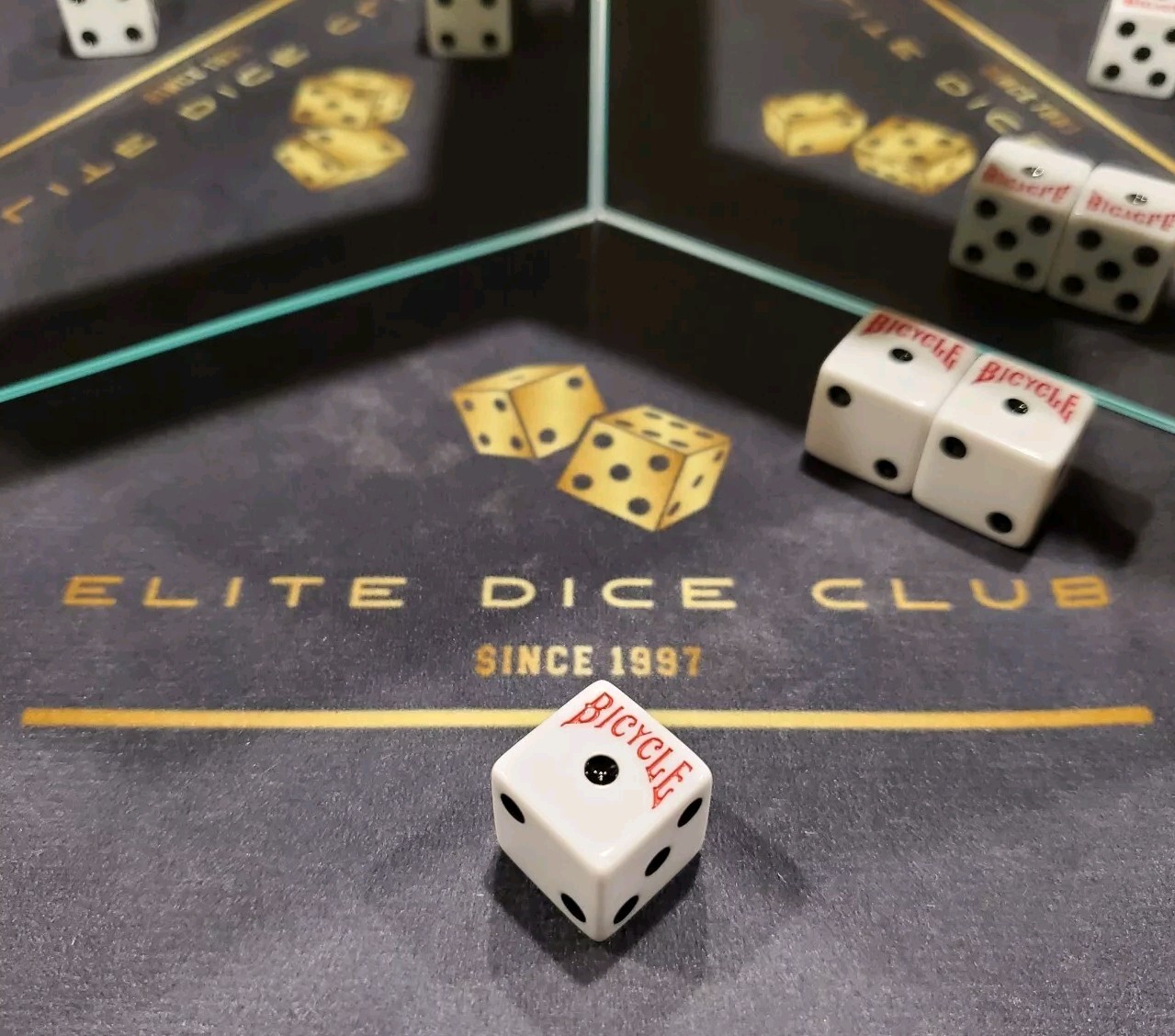 Magic Weighted Loaded Novelty Dice