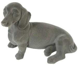grey weiner dog