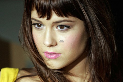Mary Elizabeth Winstead - Hollywood Actress (4"x6 / 8"x10") Photos Many-2-Choose - 第 39/62 張圖片