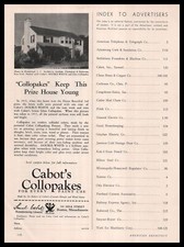 1934 Hempstead Long Island New York Home Photo Cabot Collopakes Paint Print Ad