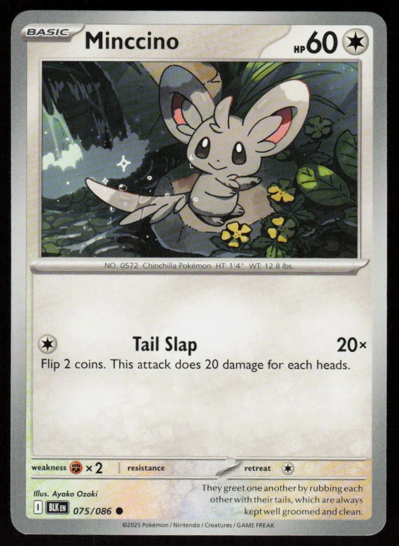 minccino pokemon card price of the day 182/162 illustration rare From Pokmon temporal forces #pokemon #pokemontcg #pokemoncards #pokemoncommunity #pokemoncollector shuffle your deck Minccino Pokmon TCG Cards for