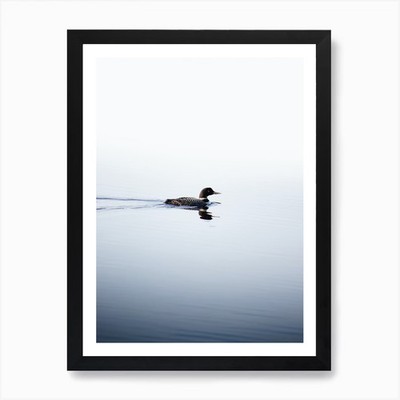 Loon On A Lake In The Boundary Wate Gerahmtes Wandbild Poster Leinwanddruck Bild