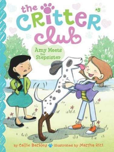 Amy Meets Her Stepsister by Callie Barkley: Used