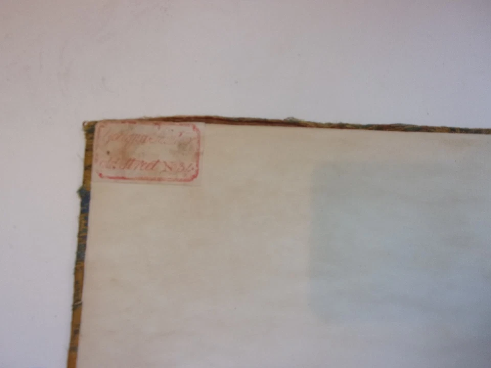 Album 4 peintures chinoises OISEAUX BIRDS pith paper - papier de riz - ca 1860 - Photo 4/4