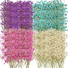 200 Pcs Dried Baby's Breath Flowers Preserved Multi Color