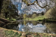 Photo 6x4 Minterne Himalayan gardens Minterne Parva Landscaped in the man c2016