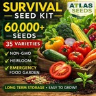 Survival Seed Kit 60,000 Seeds 35 Heirloom Varieties Non GMO Emergency Garden