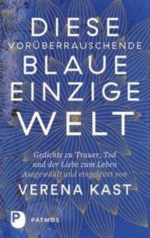 Diese Vorüberrauschende Blaue Einzige Welt Verena Kast Buch 128 S.