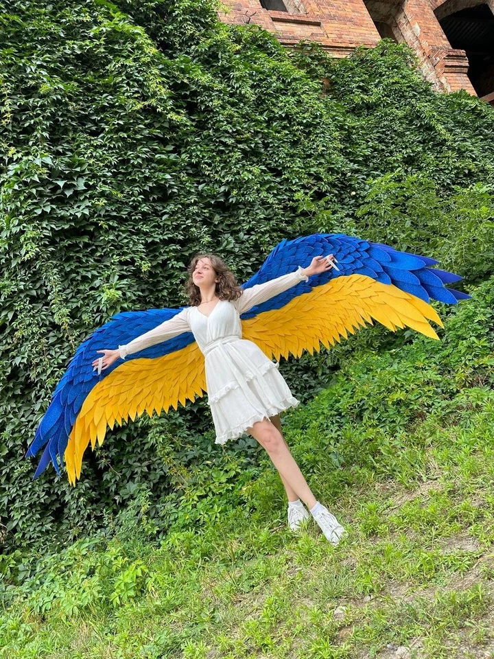 Dance Wings Belly Dance Fairy Costume Cosplay Bird CostumeFestival Fantasy Sexy - Image 2 of 4