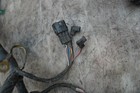 Foto 6 di 7