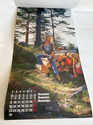 Vintage 1998 Stihl wall calendar, 22 in x 12 in, great condition