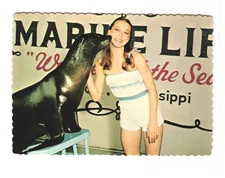Marine Life, Gulfport MS, Sea lion kissing act performance VTG Postcard UNP