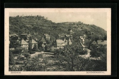 Bensheim, town view with Schönbergertal, postcard 1915 
