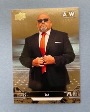 2023 Upper Deck AEW Wrestling Taz Gold #85