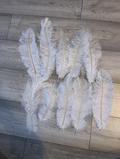 10x White Ostrich Feathers