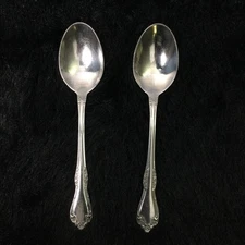 Wm. A. Rogers Deluxe Oneida Ltd. Stainless Steel Soupspoon 2 Spoon Bundle 