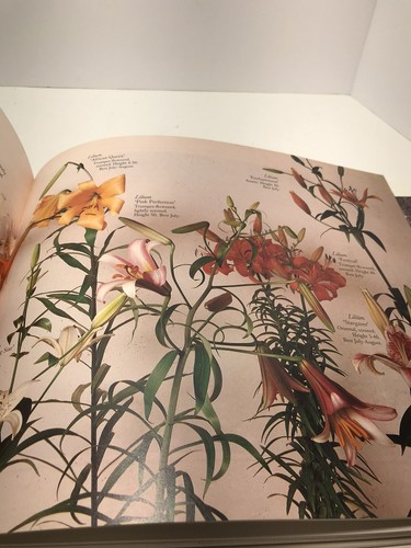 Illustrated Flower Garden DIY All Seasons Reader's Digest Hardback Book - Foto 9 di 12