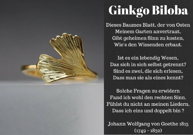 Damenring Ginkgoblatt Ring Ginkgo Gelbgold - 925 Sterling Silber vergoldet Ginko - Bild 3 von 4