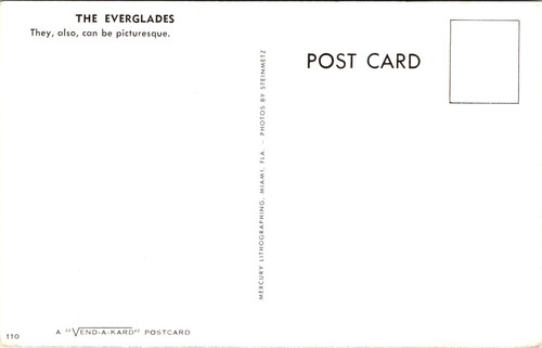 Vintage Postcard Chrome The Florida FL Everglades - Picture 3 of 3