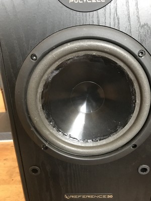 infinity reference speakers