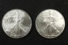 NobleSpirit (LG) Desirable American SILVER Eagle Pair 2003 GEM BU