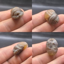 Unique Ancient Agate Egyptian Scarab Seal Stamp Bead Amulet