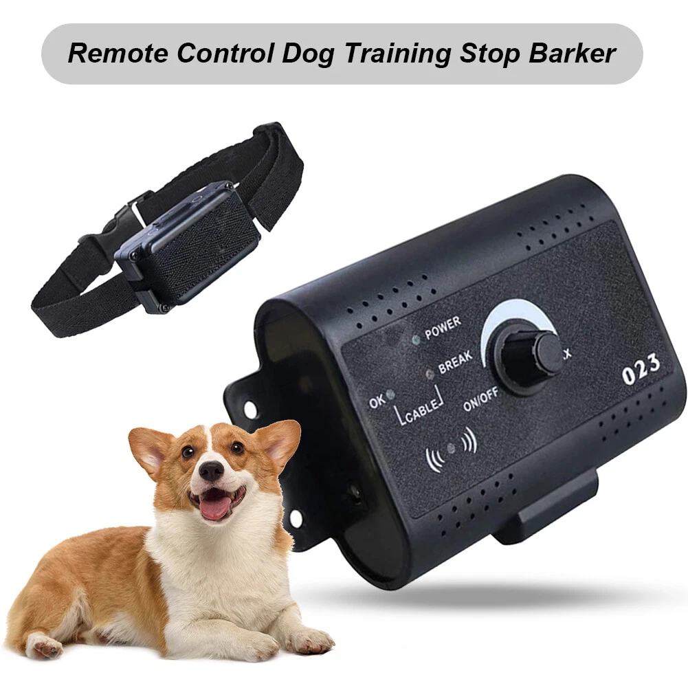 Outdoor electronic pet on sale barrier