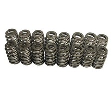 LS Valve Springs PAC1218 Racing Valve Springs Compatible with GM LS Engine 4.8