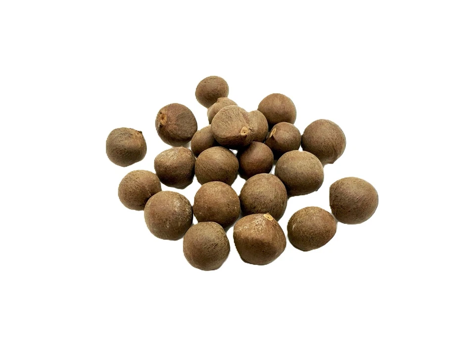 20 Pcs Chinese Green Tea Seeds, Camellia Sinensis Seed, Herbal Teas for Planting - Image 2 of 4