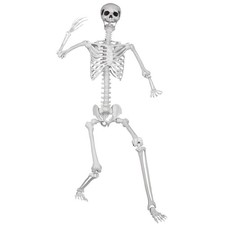 5.9ft/180cm Posable Halloween Skeleton, Life Size Skeleton Bones with Movable...