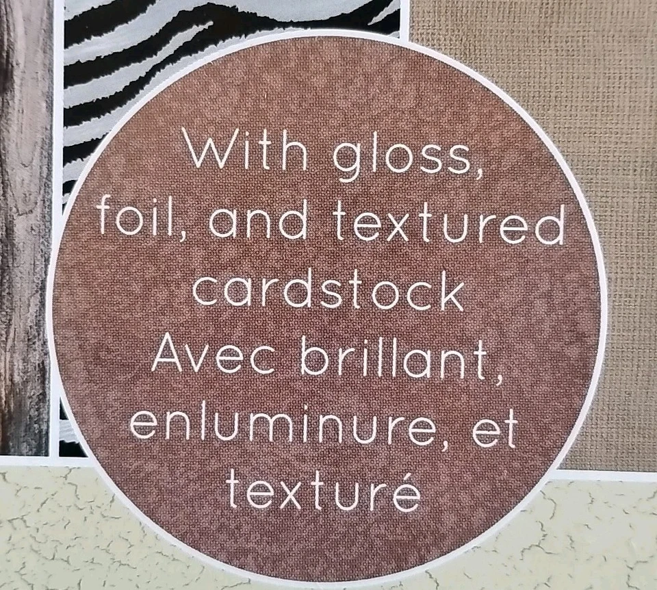✨✨Nuevo ✨ Cartulina Retirada DCWV "Texturas y Acabados" Pack 12" x 12" 48 Hojas Foto 3 de 4