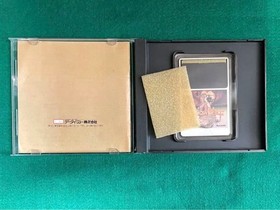 Rare PC Engine Rogue Combat Unit Bloody Wolf Japan Region
