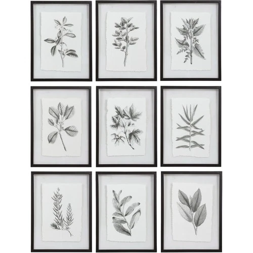 Uttermost 41617 Farmhouse Florals 23 X 18 inch Framed Prints, Set of 9 - Picture 1 of 6