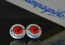 Pinarello crankset dust caps fit shimano campagnolo ofmega gipiemme red