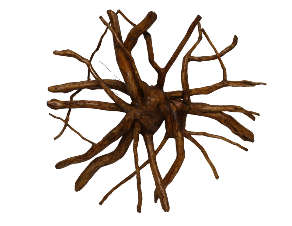 Маска ручной работы Madusa Teak Tree Spirit SUN GODDESS Face Carfted Teak Root Tiki - Изображение 2 из 4