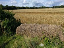Photo 6x4 Field entrance blocked by a bale of hay Kilmersdon  c2017