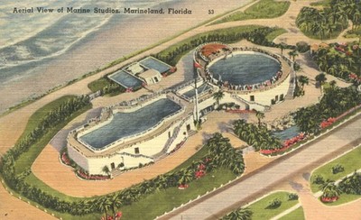 St Augustine Florida Aerial View Marine Studios Marineland Postcard