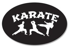 Karate Oval Car Vinyl Sticker - SELECT SIZE
