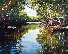 Everglades mangrove waterways oil painting 8x10 Print