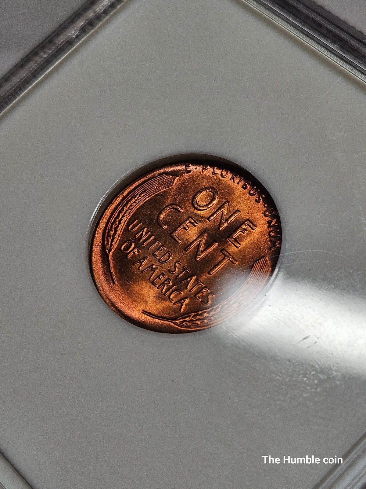 Picture 6 of 6
