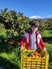 Foto 5 di 12