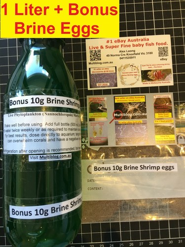 NEW 1 liter F2 Guillard's Phytoplankton Shrimp eggs Brine Aquarium Salt - Picture 15 of 26