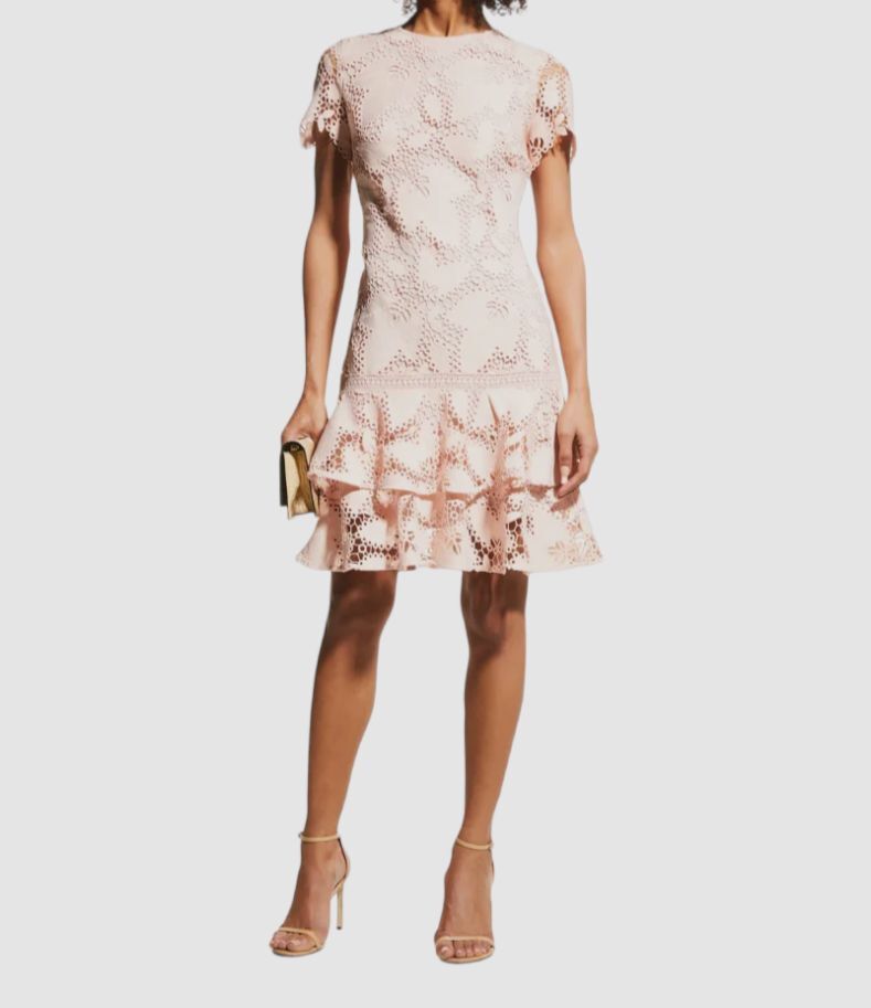 chinese dress ladies Shoshanna Alize Dress in Blush main image 0