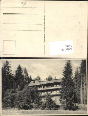 75988,Neumarkt i.d. Steiermark Pension am Walde Detailansicht
