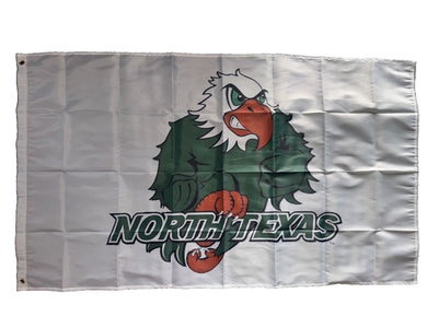 #ad University of North Texas Mean Green UNT Eagles Flag 3x5 With 2 Grommets $19.99