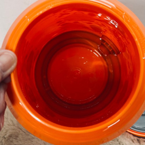 Cool Gear Citrus Burst distributore di bevande bevande lattina design 128 oz - Foto 4 di 5