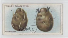 1923 Wills Gardening Hints Tobacco Seed Potatoes #45 19x5