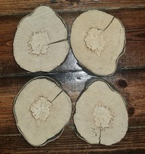 X4 Spalted English Hornbeam Cookie Slices, Wood Turning.