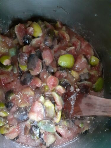 hausgemacht Feigen - Senf mit Chili 200 g wieder NEU! Feigensenf - Bild 5 von 8